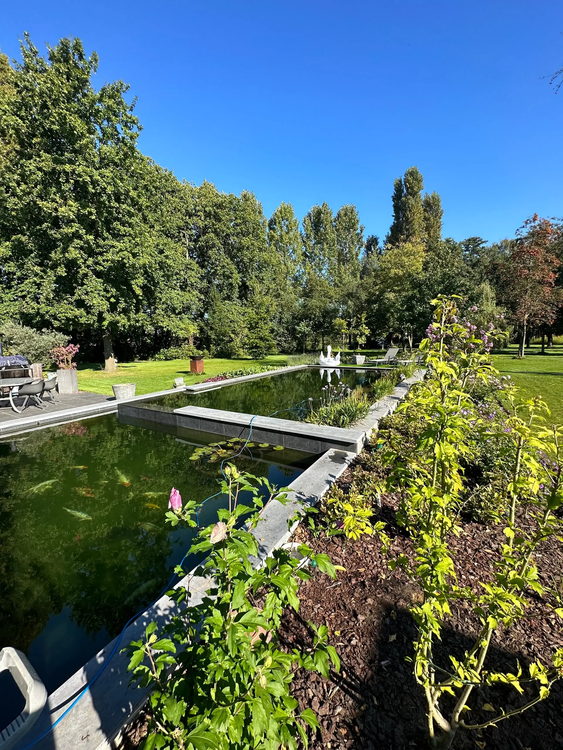Project Nieuwkerken-Waas – D.